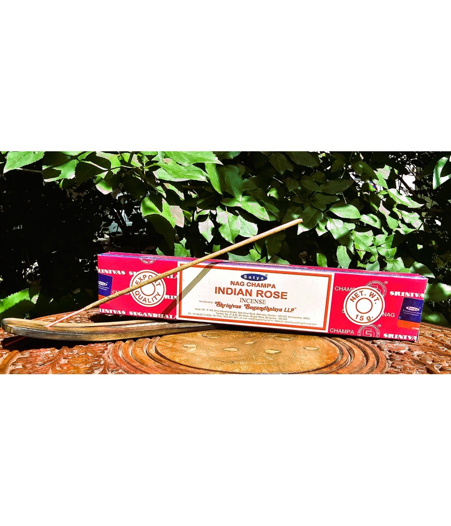 Satya - Indian Rose ( ruža)