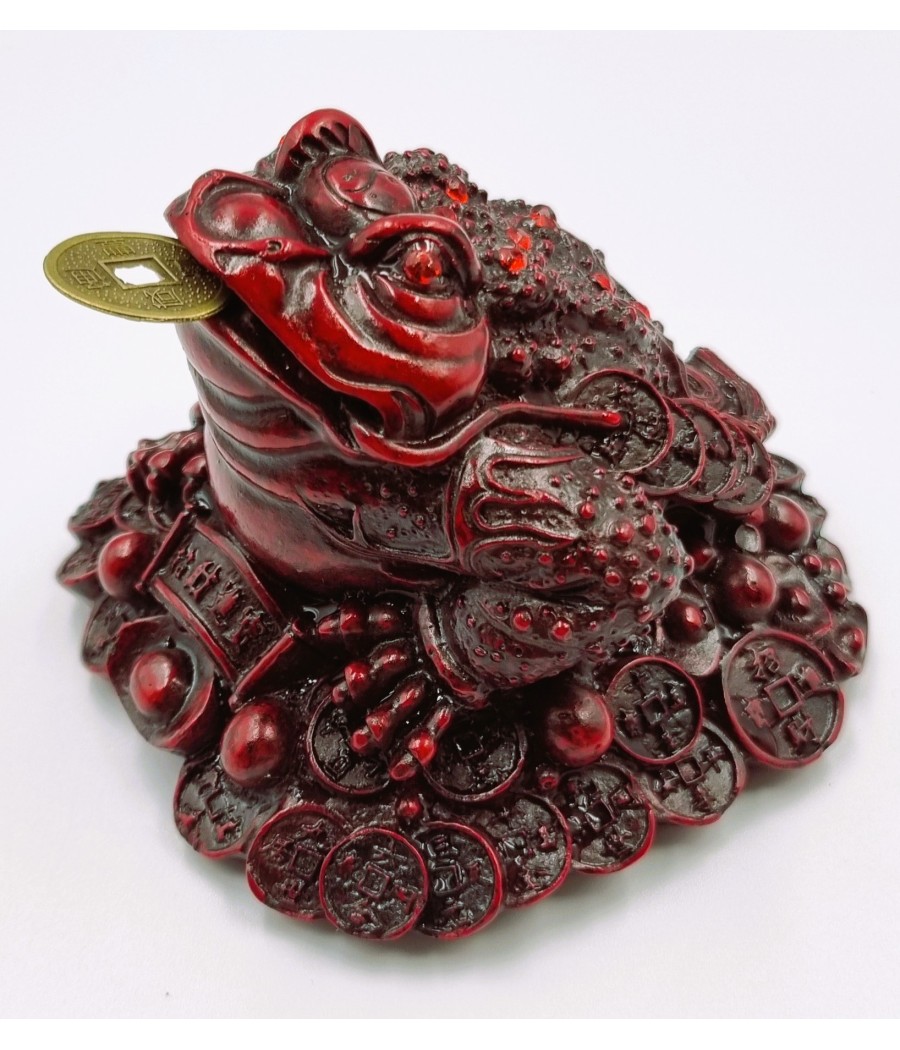 Aktívna žaba hojnosti -...